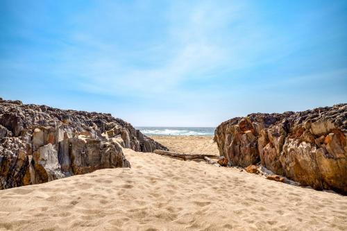 Surfer's View