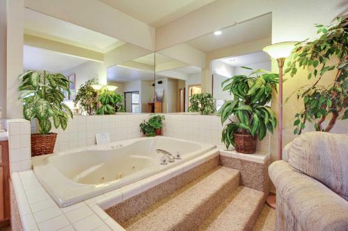 Zridge Condo 26