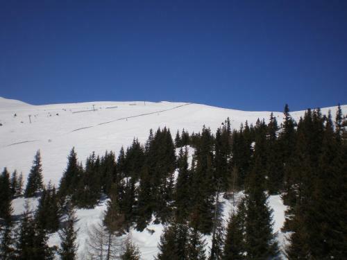 Almrauschh�tte Markus