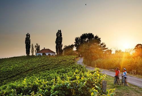 Hotel Sporer Der Parktherme Bad Radkersburg