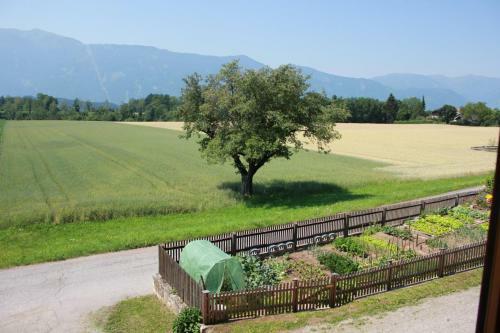 Apartamento Landhaus L�scher