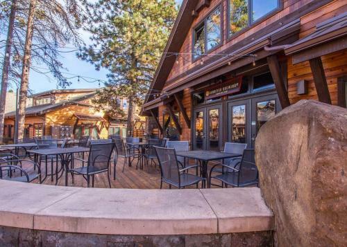 Jackpine 10