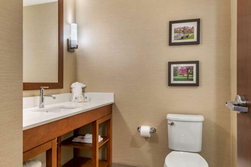 Hotel Comfort Suites Camp Hill-harrisburg West