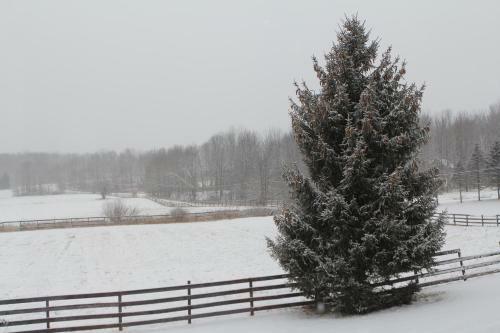 Lodge Equestrian House: Suites