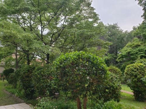 Ambrias Garden Manor B&B