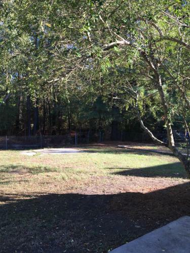 The Blue Base Camp Perfect Tailgating Yard