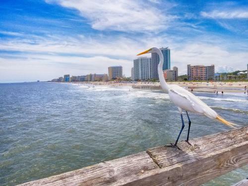 Apartamento 15th Floor Ocean Front