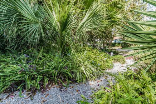 Port Royal Zen Garden