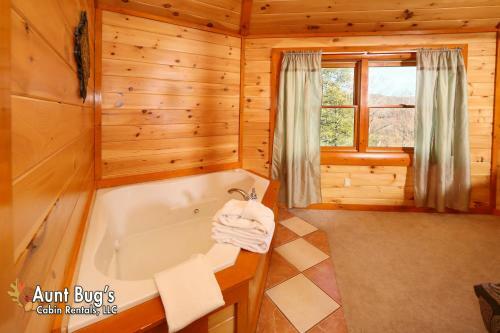 Swimmin With Bears #375 By Aunt Bug's Cabin Rentals