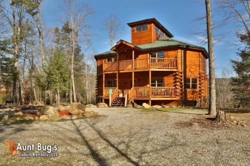 Swimmin With Bears #375 By Aunt Bug's Cabin Rentals