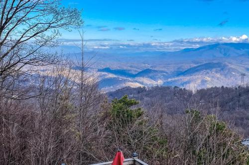 Bears On Skis A Smoky Mountain Lodge
