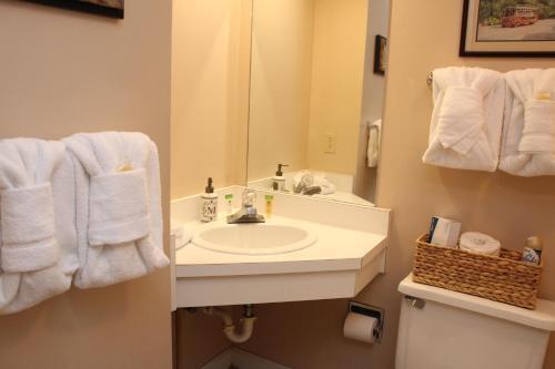 Apartamento Gatlinburg Chateau Condo 302