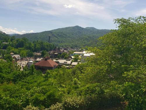 Apartamento Gatlinburg Chateau Condo 503