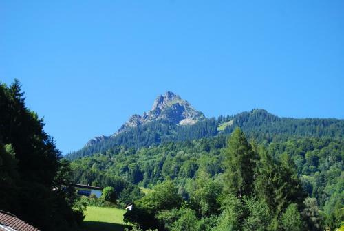 Chalet Mariedl