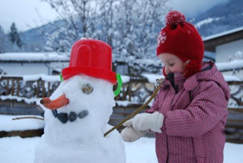 Chalet Mariedl
