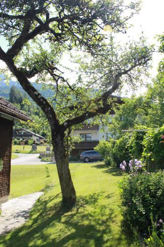 Chalet Mariedl