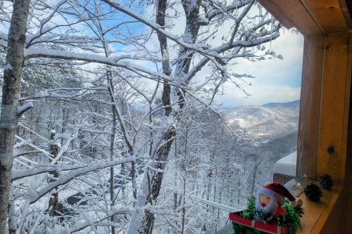 Bear Mountain Retreat - Big Views, Spa, Game Room Home