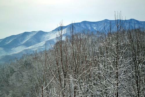 Mountain High