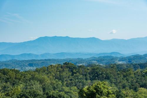 Apartamento Mountain View Place #1