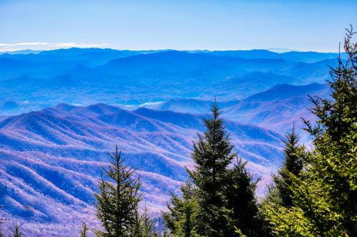 100 Mile View