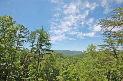 Blackbeary Bluff