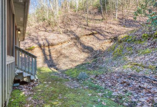 Hemlock Hollow