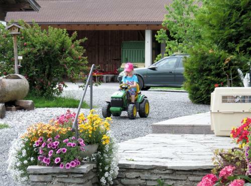 Apartamento Baby & Kinderbauernhof Stefflhof