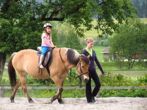 Apartamento Baby & Kinderbauernhof Stefflhof