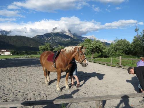 Apartamento Baby & Kinderbauernhof Stefflhof