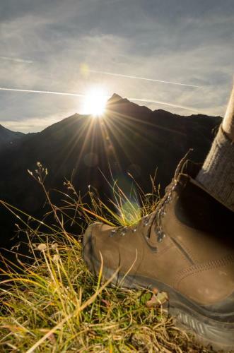 Chalet Alpenjuwel