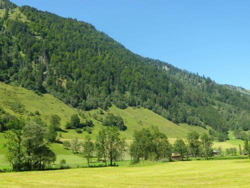 Hostal Pension Andrea