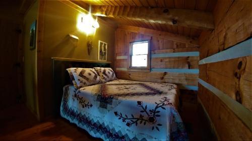 Free Xplorie Attractions Every Day! - Driftwood Log Cabin