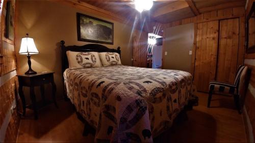 Free Xplorie Attractions Every Day! - Driftwood Log Cabin