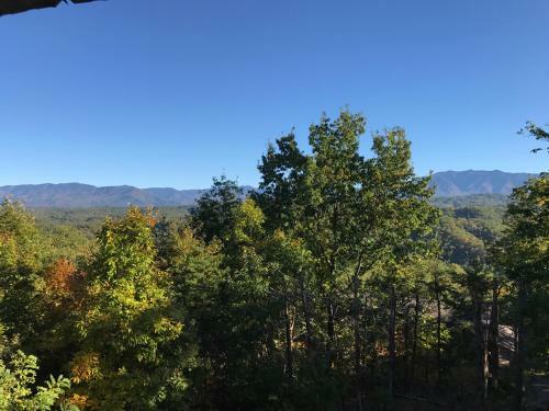 Grandpa Bear's View #233 By Aunt Bug's Cabin Rentals