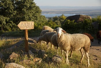 Hotel Nabia