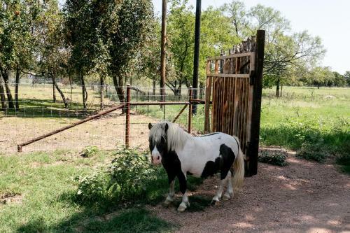 Own The Day Lodge - The Ranch House