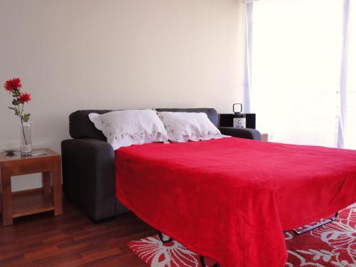 Apartamento Barcel� Suites Providencia I