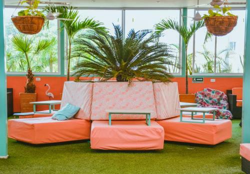 Hostal Flamingo Hostel & Coworking