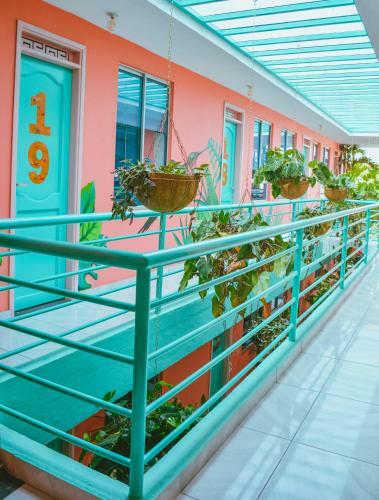 Hostal Flamingo Hostel & Coworking