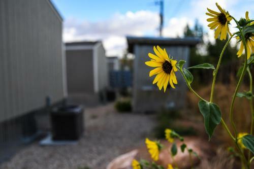 Rsh 1 - Single Level Home Just Minutes From Arches N.p