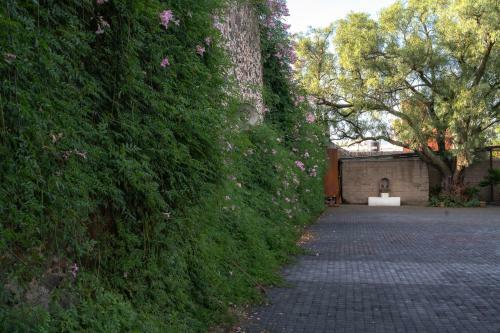 Posada Colibri - Hotel & Spa