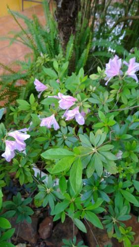 Posada Portal Del Iguazu