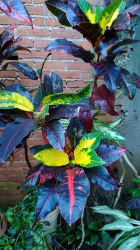 Posada Portal Del Iguazu