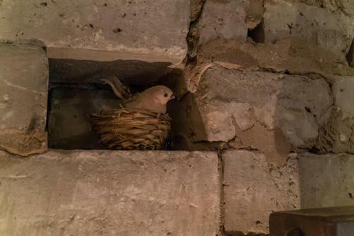 The Mulberry Inn -an Historic Bed And Breakfast