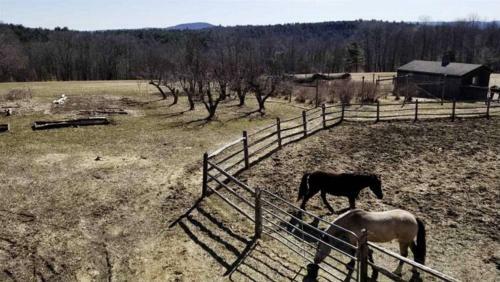 Historic Hemlock Ridge Farm - 40 Acres & Orchards Home