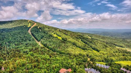 Ski-in And Ski-out Peru Condo At Bromley Mountain