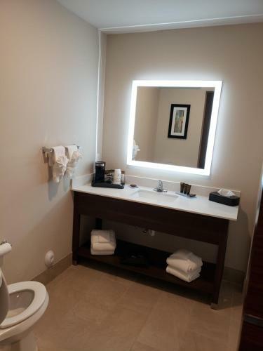 Hotel Wingate By Wyndham Christiansburg