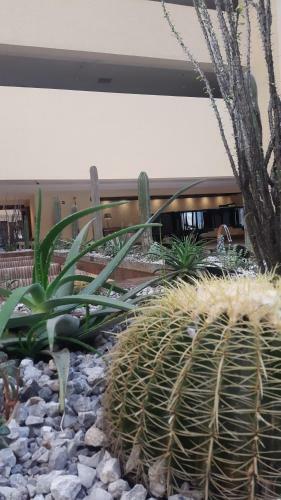 Hotel Soberano & Resort