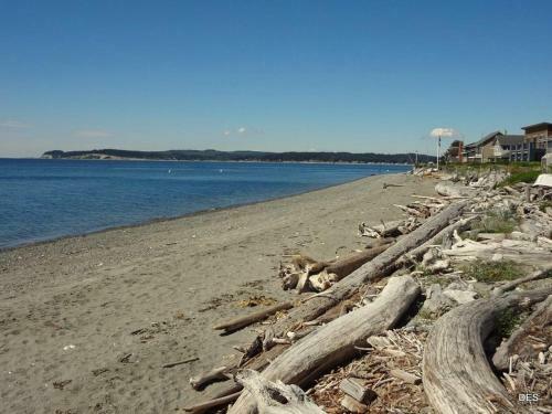 213 - Beach Escape On Mutiny Bay