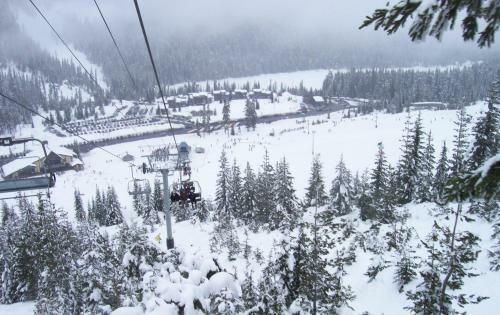 Luxurious Log Cabin At White Pass